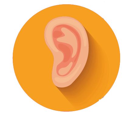 1 1 2 年 特殊教育輔具知能研習 ------認識聽力損失及聽損生融合校園之需求